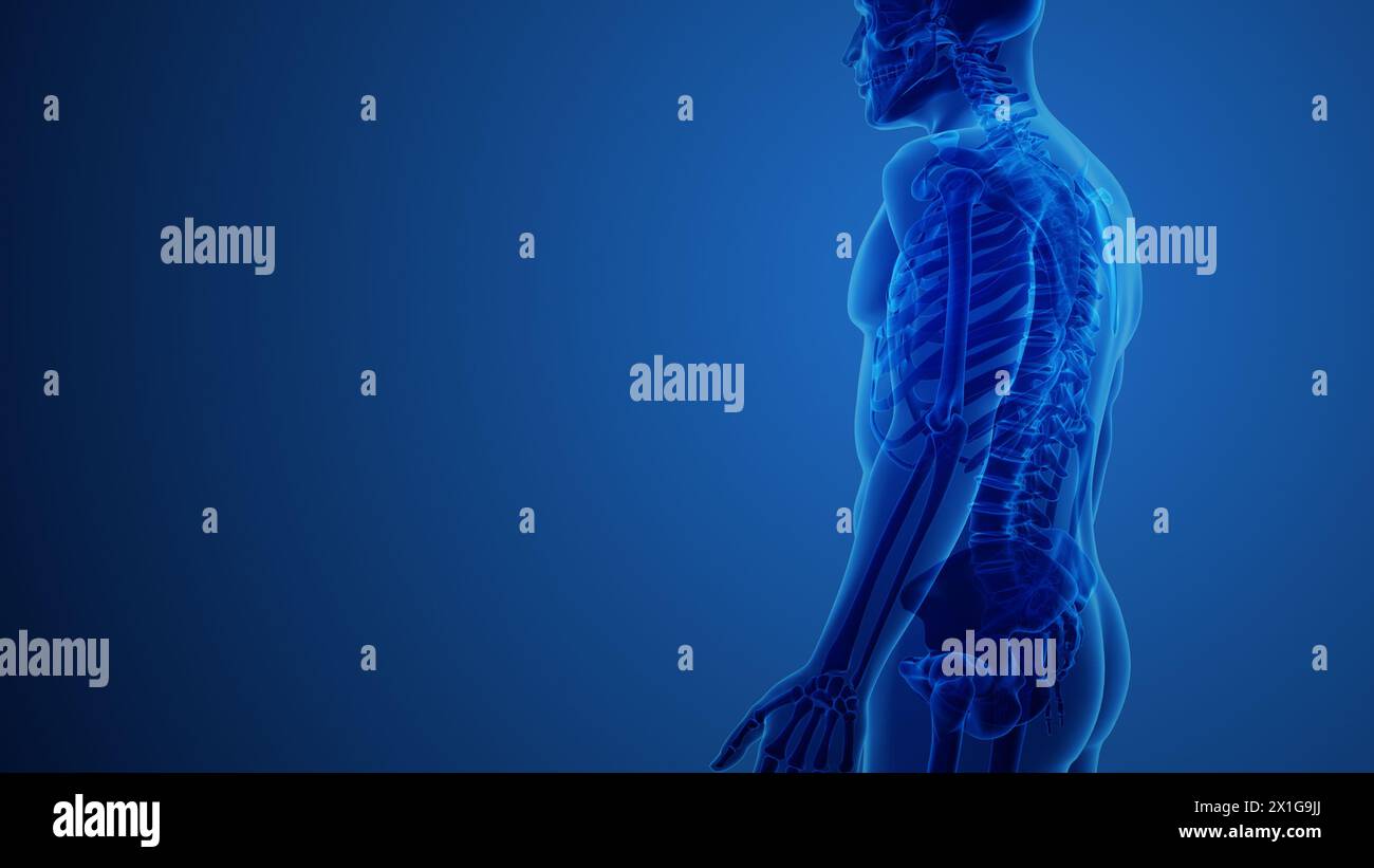 Concetto anatomico di dolore al gomito Foto Stock