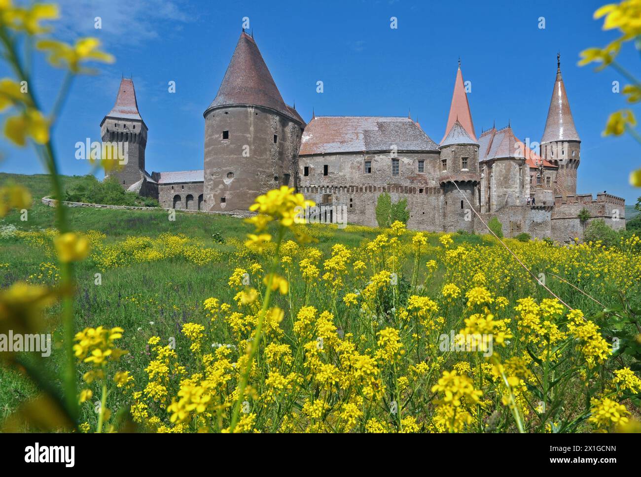 Castello di Corvin, castello di Hunyadi, castello di Hunedoara, Romania Foto Stock