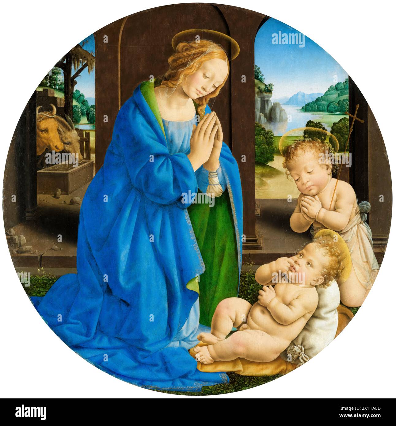 Lorenzo di credi, Maria adorando il bambino con il bambino San Giovanni Battista, pittura in media mista su pioppo, 1480 circa Foto Stock