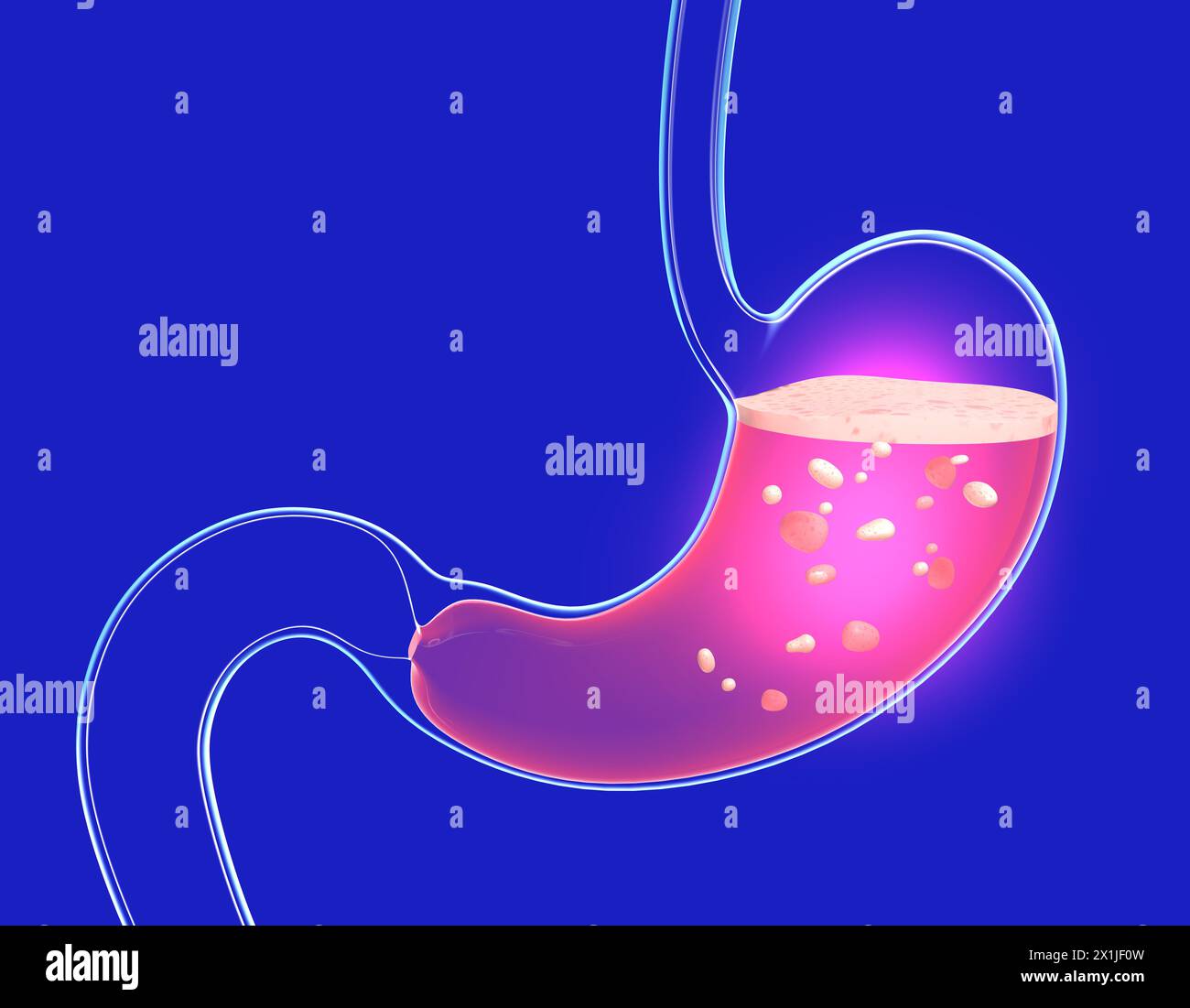 Illustrazione 3D della digestione dello stomaco con bruciore e pesantezza. Mostra l'interno con del cibo. Anatomia del vetro trasparente con luci e riflessi Foto Stock