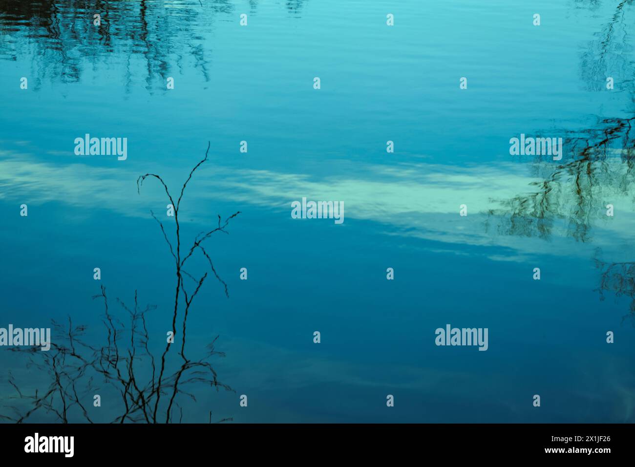 ipnotico lago o laghetto con riflessi ondulati rami di alberi in acqua ondulata, mentre le increspature aggiungono movimento tattile e dinamismo, ombra sull'acqua, Foto Stock