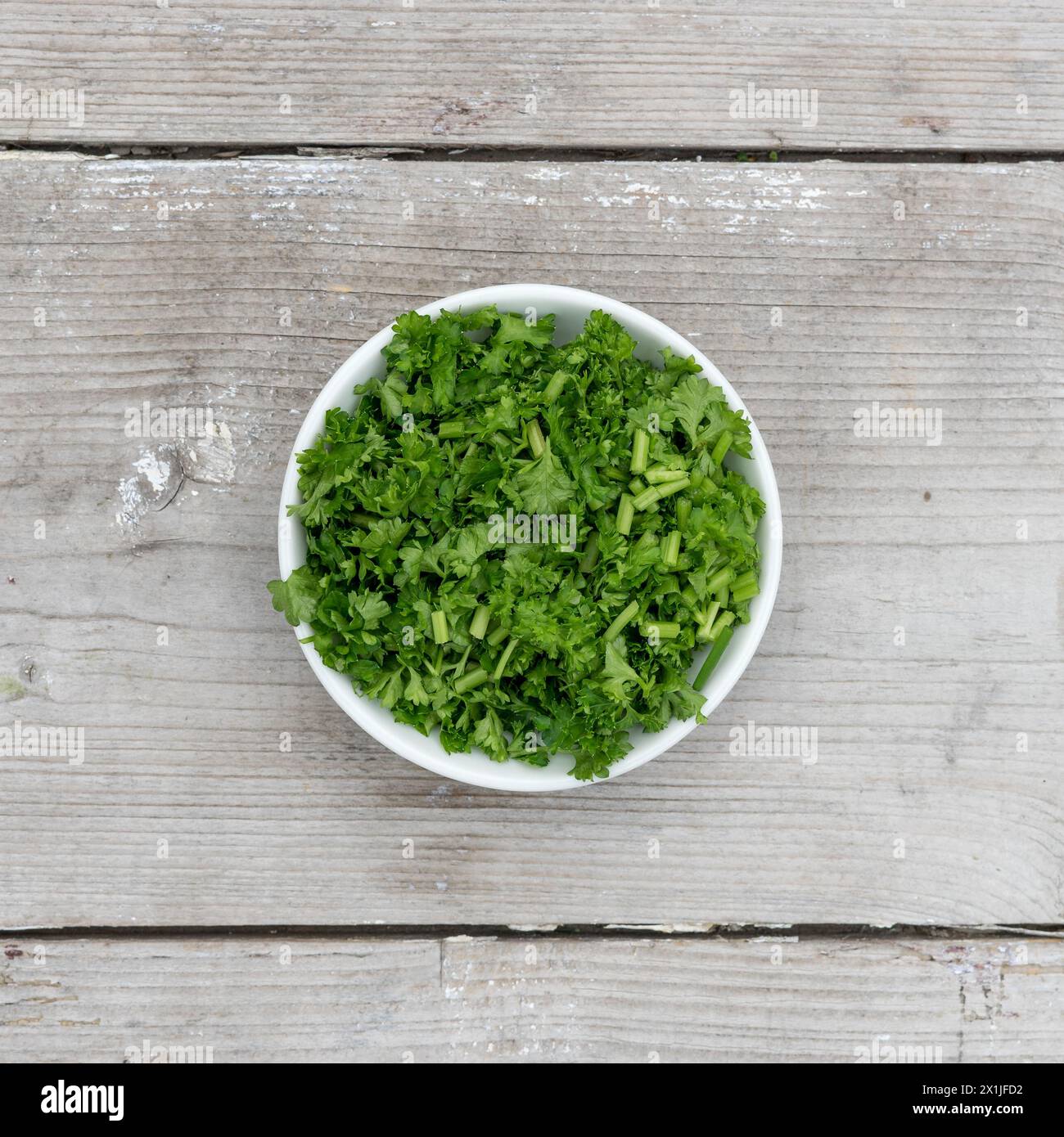 ​​fresh prezzemolo riccio a fette su fondo di legno chiaro Foto Stock