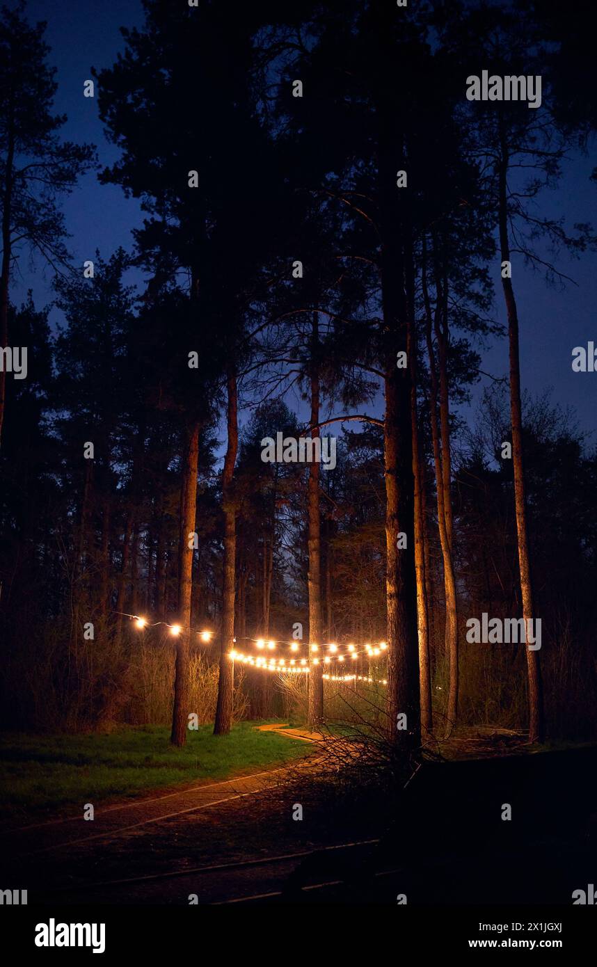 Scenario della foresta di pini con luci gialle da campeggio nel giardino botanico di Almaty di notte in Kazakistan Foto Stock
