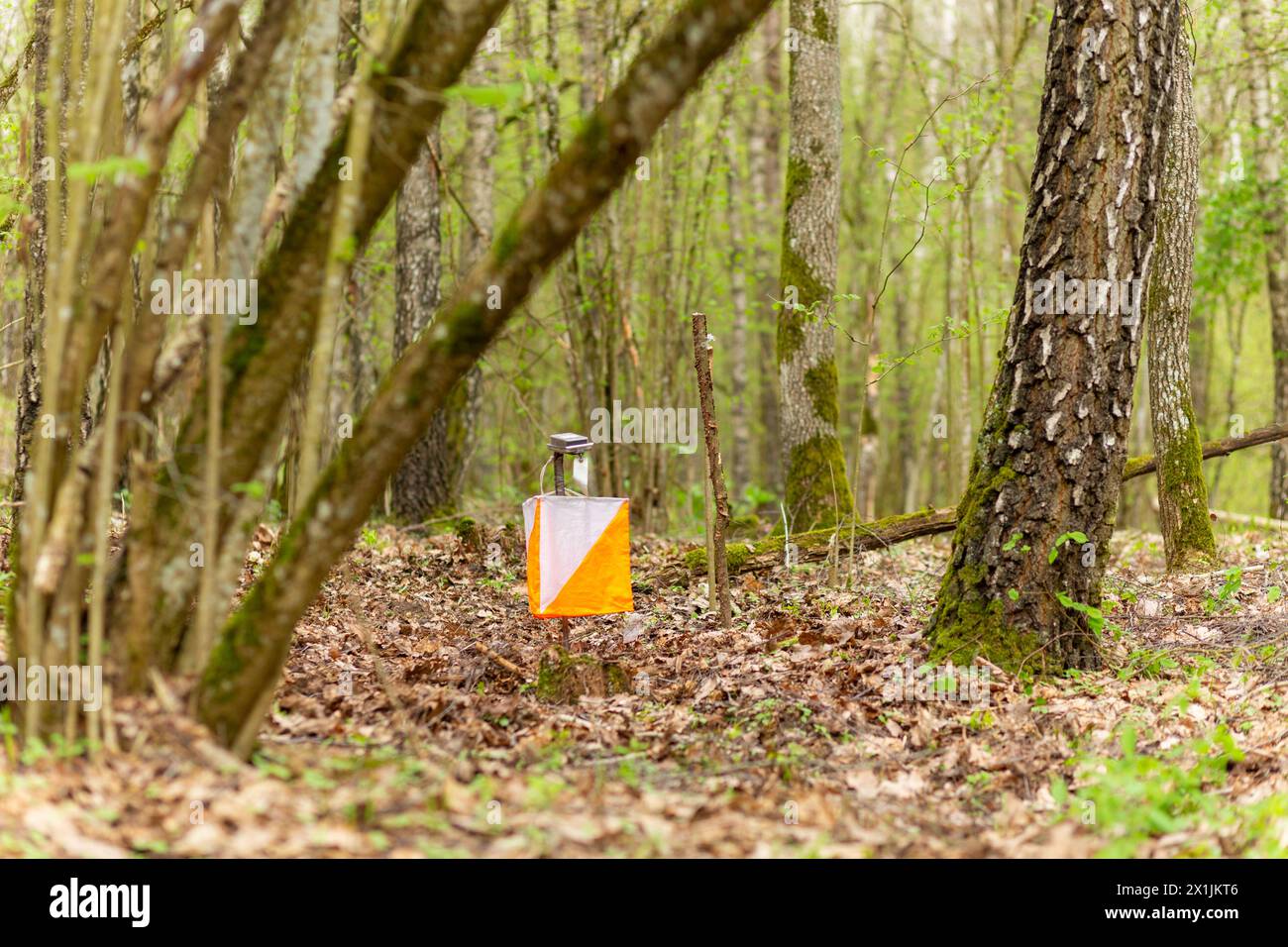 Orientamento. Punto di controllo prisma e composter elettrico per l'orientamento nella foresta primaverile. Apparecchiature di navigazione. Il concetto Foto Stock