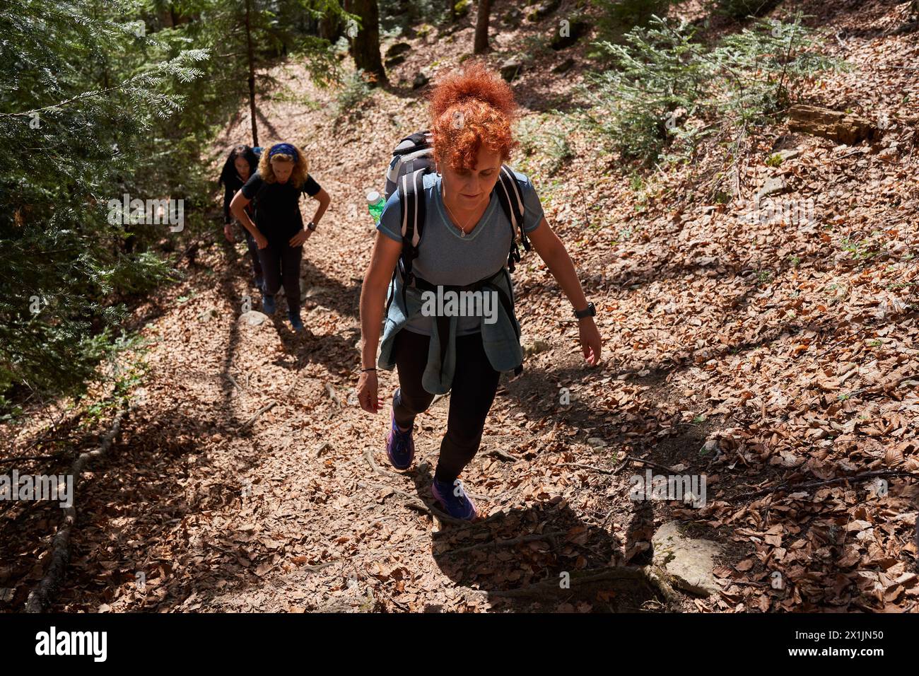 Gruppo di donne escursioniste con zaini che camminano su un sentiero in montagna Foto Stock