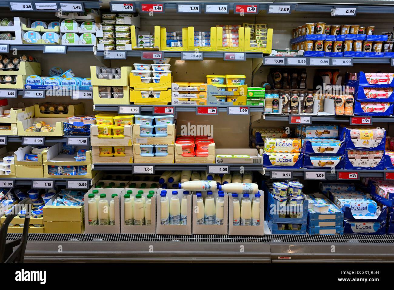 Scaffali nella sezione casearia del supermercato con latte, burro, alcuni formaggi morbidi e bevande a base di latte Foto Stock