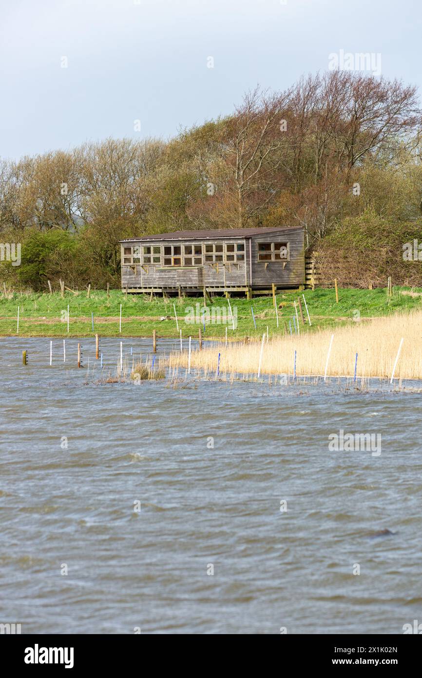 L'Allen Hide a Leighton Moss visto dall'Eric Morecambe Hide Foto Stock