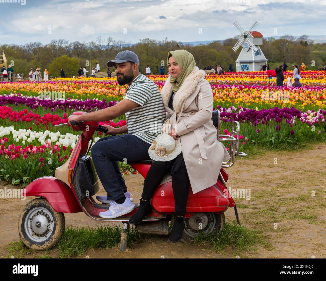 Coppia che posa su uno scooter ciclomotore in un campo di tulipani, Tulleys Tulip Fest presso Tulleys Farm, Turners Hill, Crawley, West Sussex Regno Unito Foto Stock