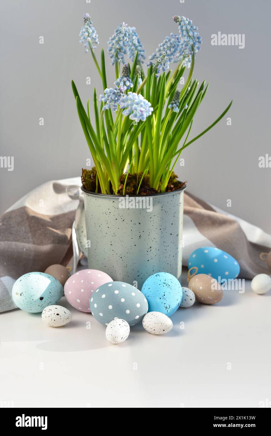Uova di Pasqua e fiori di musari azzurri in tazza su un tavolo bianco. La natura morta di Pasqua Foto Stock