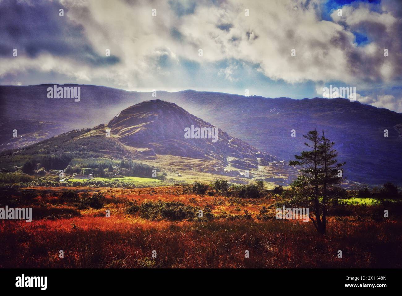 Il paesaggio glaciale nei pressi di Ardgroom, Contea di Cork, Irlanda - John Gollop Foto Stock