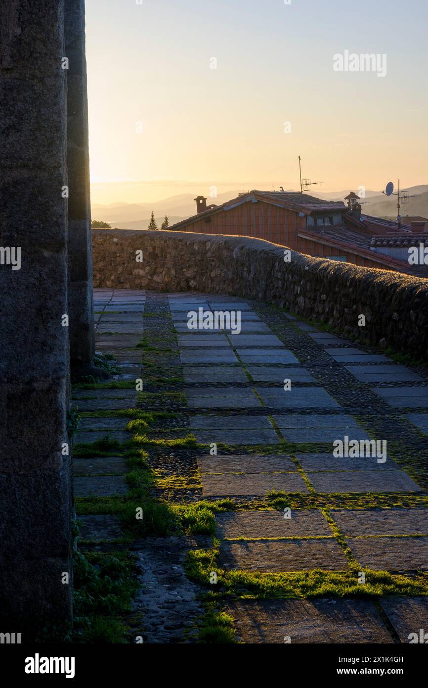 Silhouette di parete in pietra con muschio al tramonto con luce dorata in verticale Foto Stock Silhouette di parete in pietra con muschio al tramonto con luce dorata in verticale Foto Stock