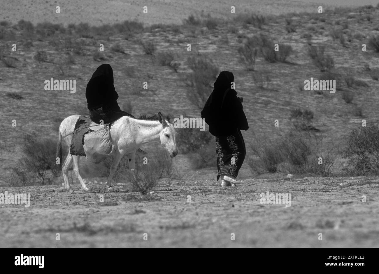 Beduini a cavallo di un asino nel deserto Foto Stock
