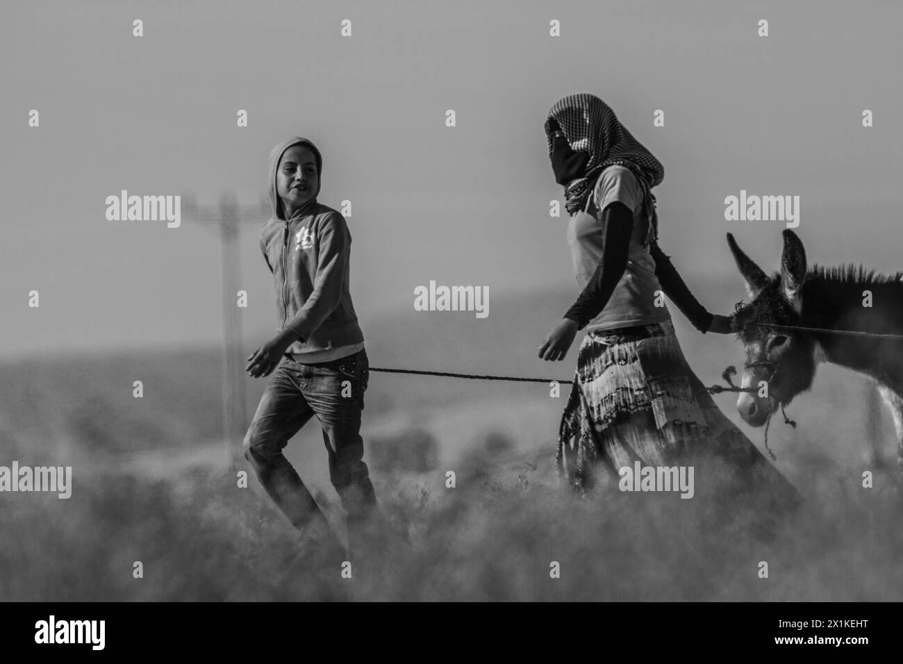 Ragazze beduine che camminano con un asino nel deserto Foto Stock