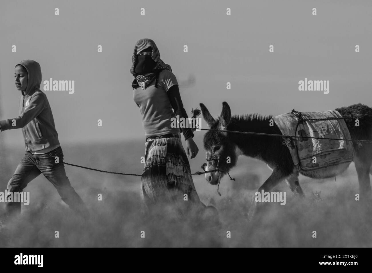 Ragazze beduine che camminano con un asino nel deserto Foto Stock