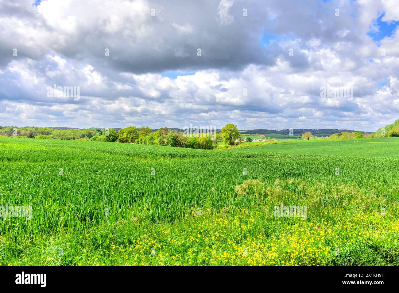 Vista sui terreni agricoli seminati con grano invernale e le nuvole di pioggia di Stratocumulus che si radunano nella Francia centrale. Foto Stock