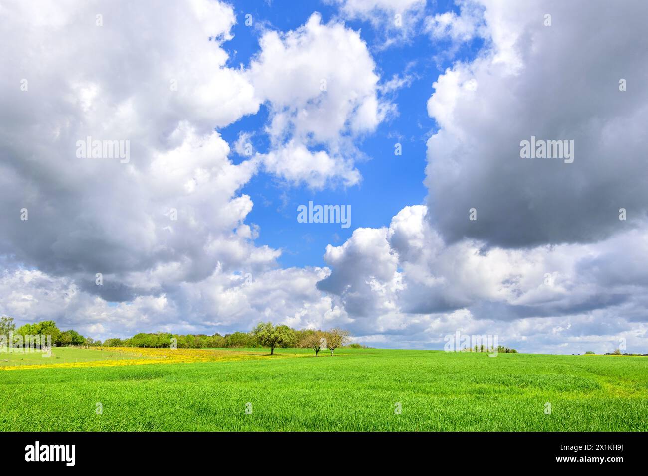 Vista sui terreni agricoli seminati con grano invernale e le nuvole di pioggia di Stratocumulus che si radunano nella Francia centrale. Foto Stock