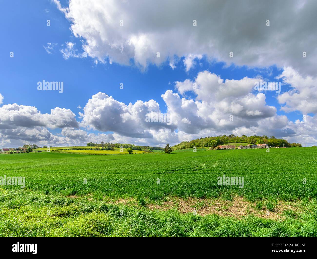 Vista sui terreni agricoli seminati con grano invernale e le nuvole di pioggia di Stratocumulus che si radunano nella Francia centrale. Foto Stock