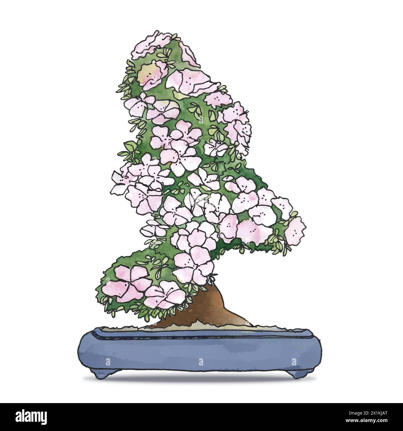 Bonsai disegnato a mano successivamente digitalizzato e ottimizzato per i colori su uno sfondo bianco con un'ombra Foto Stock