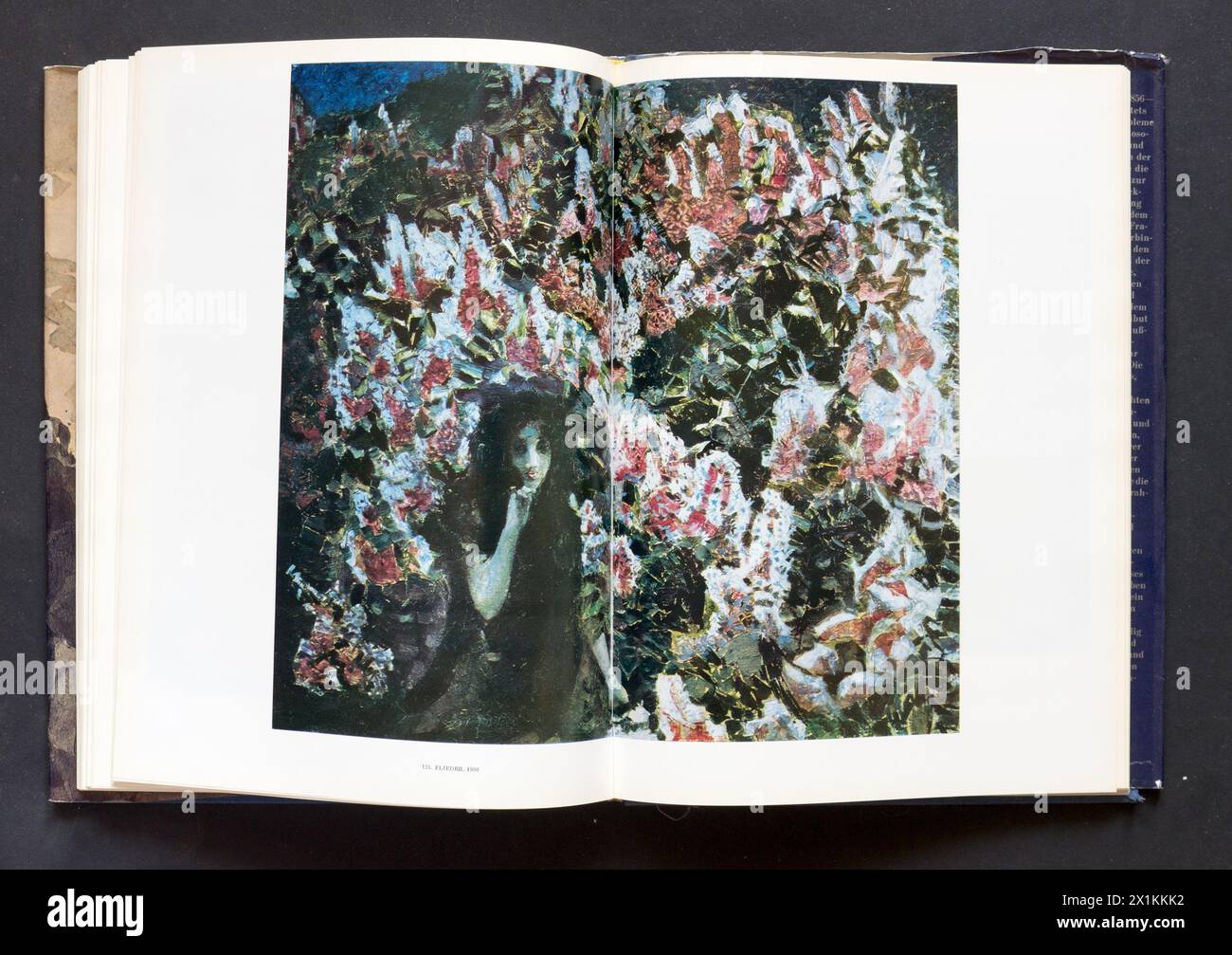 The Art album di Mikhail Aleksandrovich Vrubel (in russo: Михаил Александрович Врубель; 17 marzo, [O.S. 5 marzo] 1856 – 14 aprile, [O.S. 1 aprile] 1910) è stato un pittore, disegnatore e scultore russo, pubblicato per la prima volta nel 1986 in URSS. Foto Stock