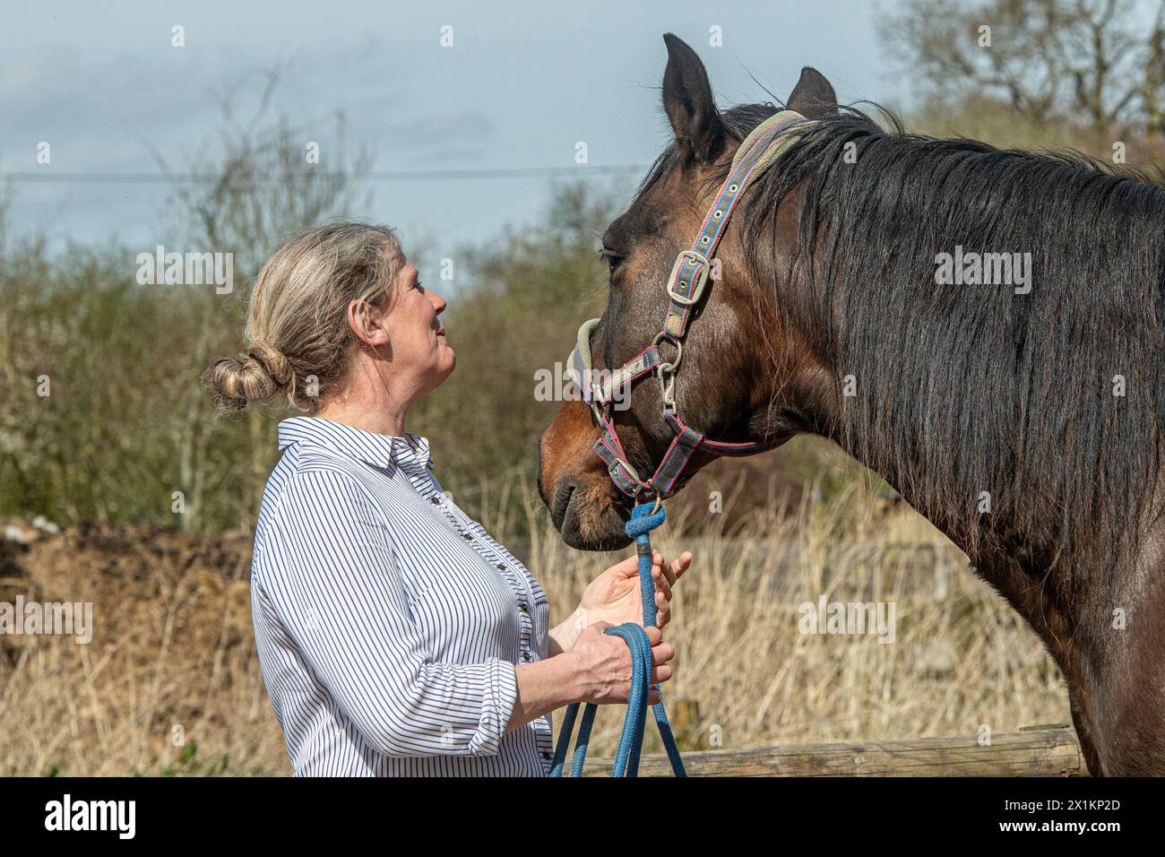 cavaliere e il suo cavallo Foto Stock