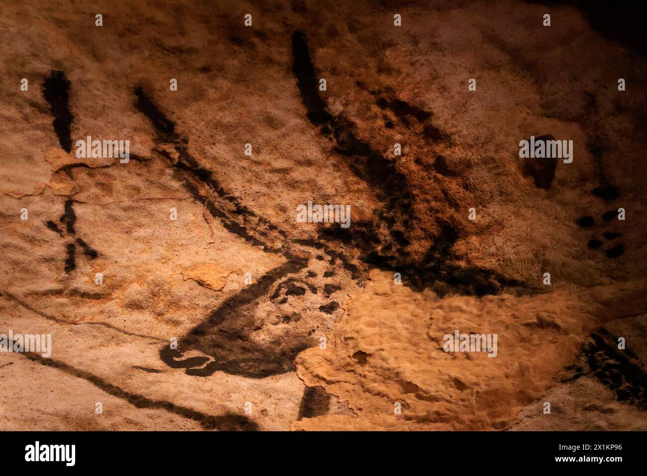 Lascaux IV, International Center for Cave Art (Centre International de l'art pariétal) presenta, tra le altre cose, un facsimile completo di tutti i Foto Stock