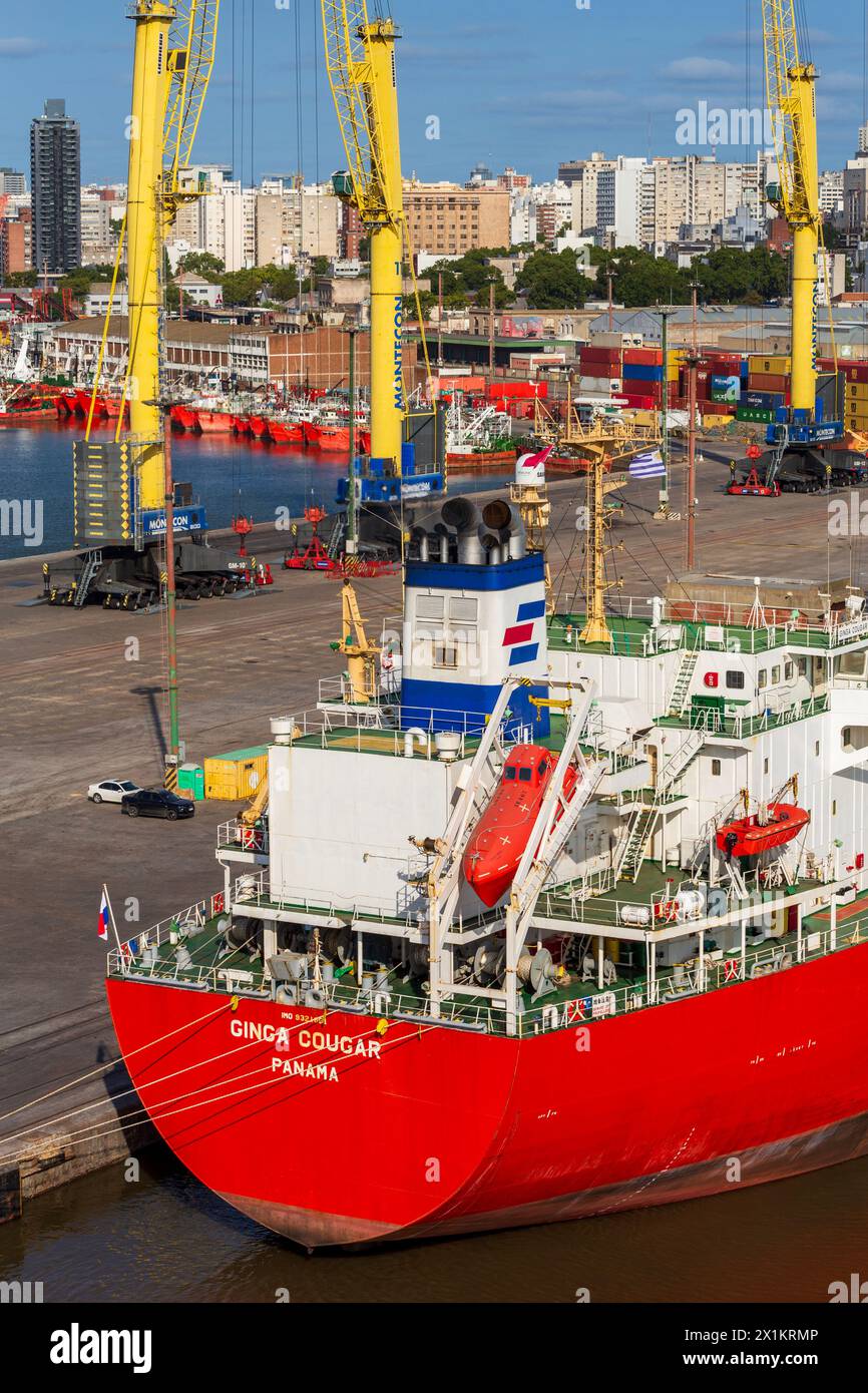 Nave da carico Ginga Cougar, porto di Montevideo, Uruguay, Sud America Foto Stock