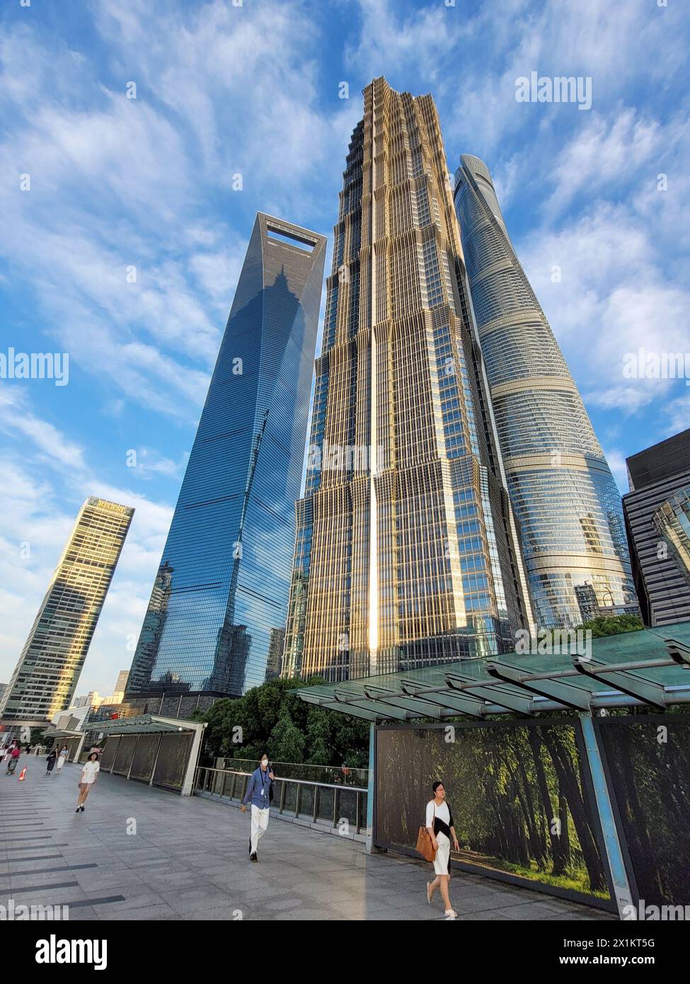 Shanghai Tower, Shanghai World Financial Tower e Jin Mao Tower nel moderno quartiere degli affari di Pudong a Shanghai, Cina Foto Stock