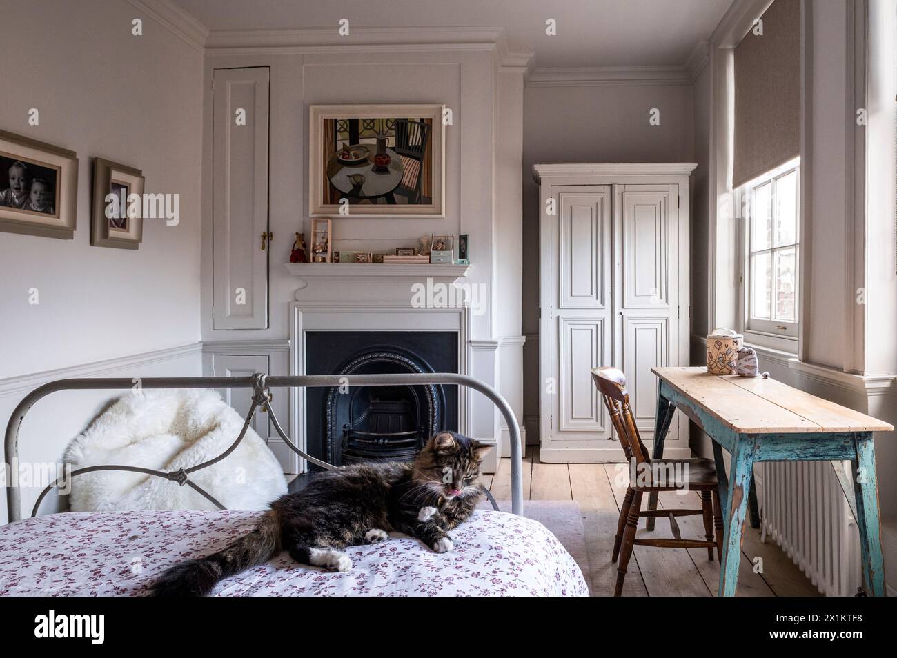 Gatto adagiato su un letto d'epoca nell'incantevole residenza georgiana di Greenwich, Londra, Regno Unito Foto Stock