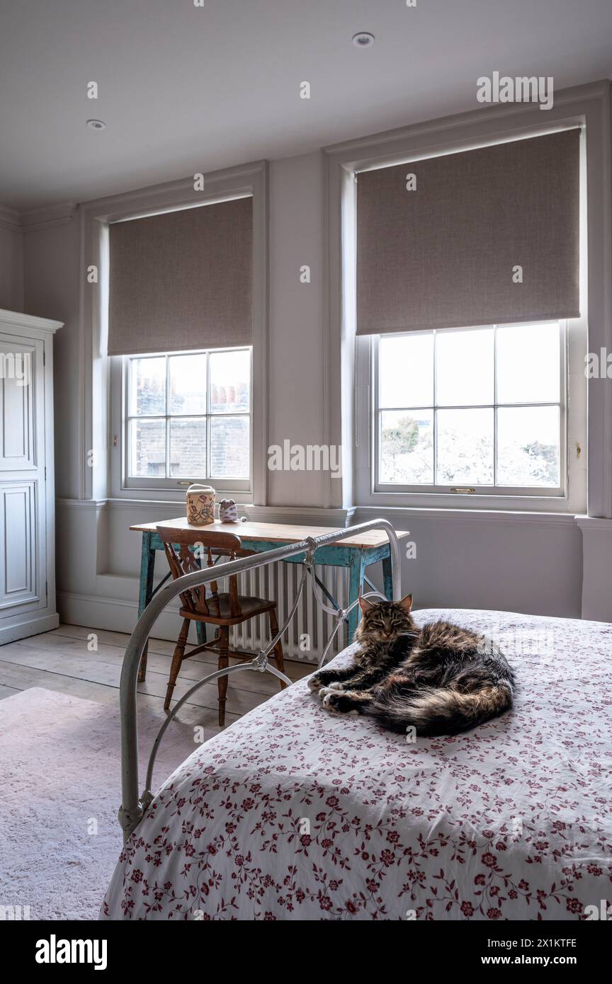 Gatto sul letto nell'elegante residenza georgiana di Greenwich, Londra, Regno Unito Foto Stock