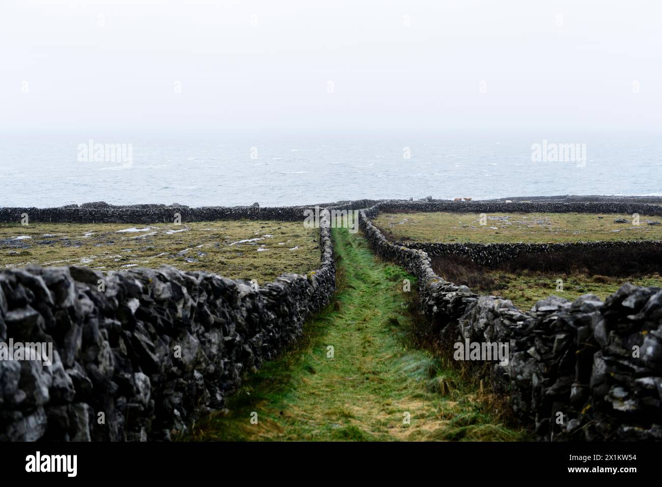 Inis Meain (isola di Aran) Foto Stock