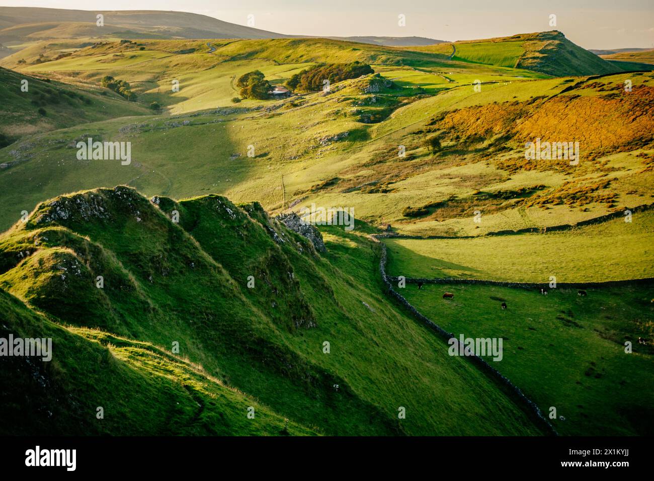 Luce della Sera sulla frastagliata cresta della collina di cromo o Dragon's torna vicino a Buxton nel Derbyshire Peak District Foto Stock