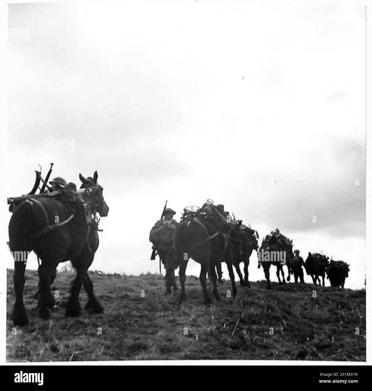 I cavalli da branco pesantemente carichi salgono una collina in Scozia durante la visita del generale Bernard C.T. Paget sotto l'esercito britannico. Foto Stock