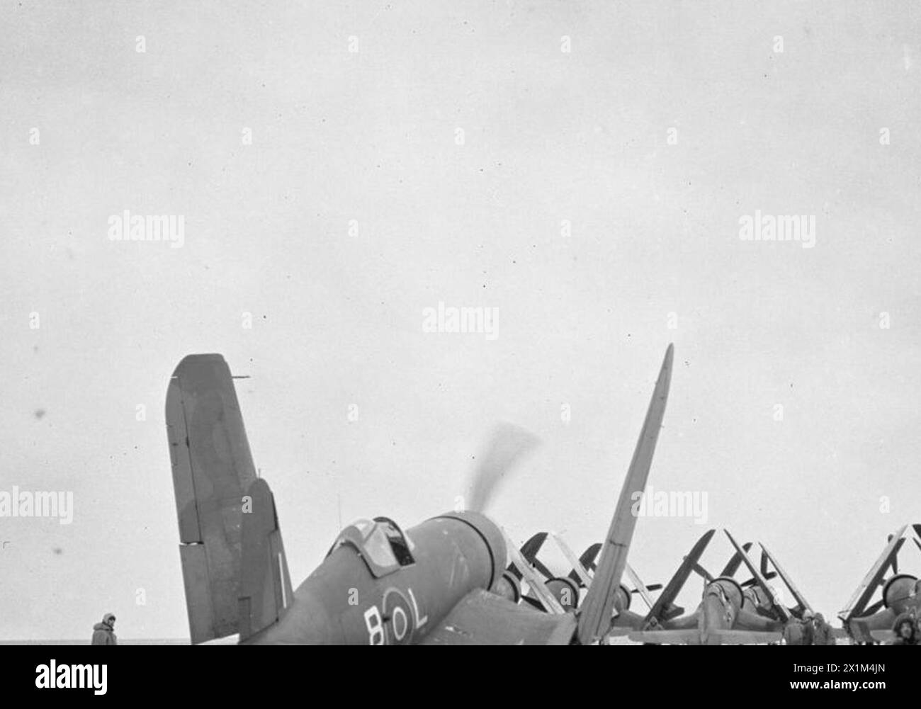 Un Chance-Vought Corsair piega le ali dopo l'atterraggio sulla HMS Victorious a seguito di una missione di bombardamento contro un convoglio tedesco al largo di Bodo, Norvegia settentrionale, con ulteriori aerei visibili sul ponte. Foto Stock