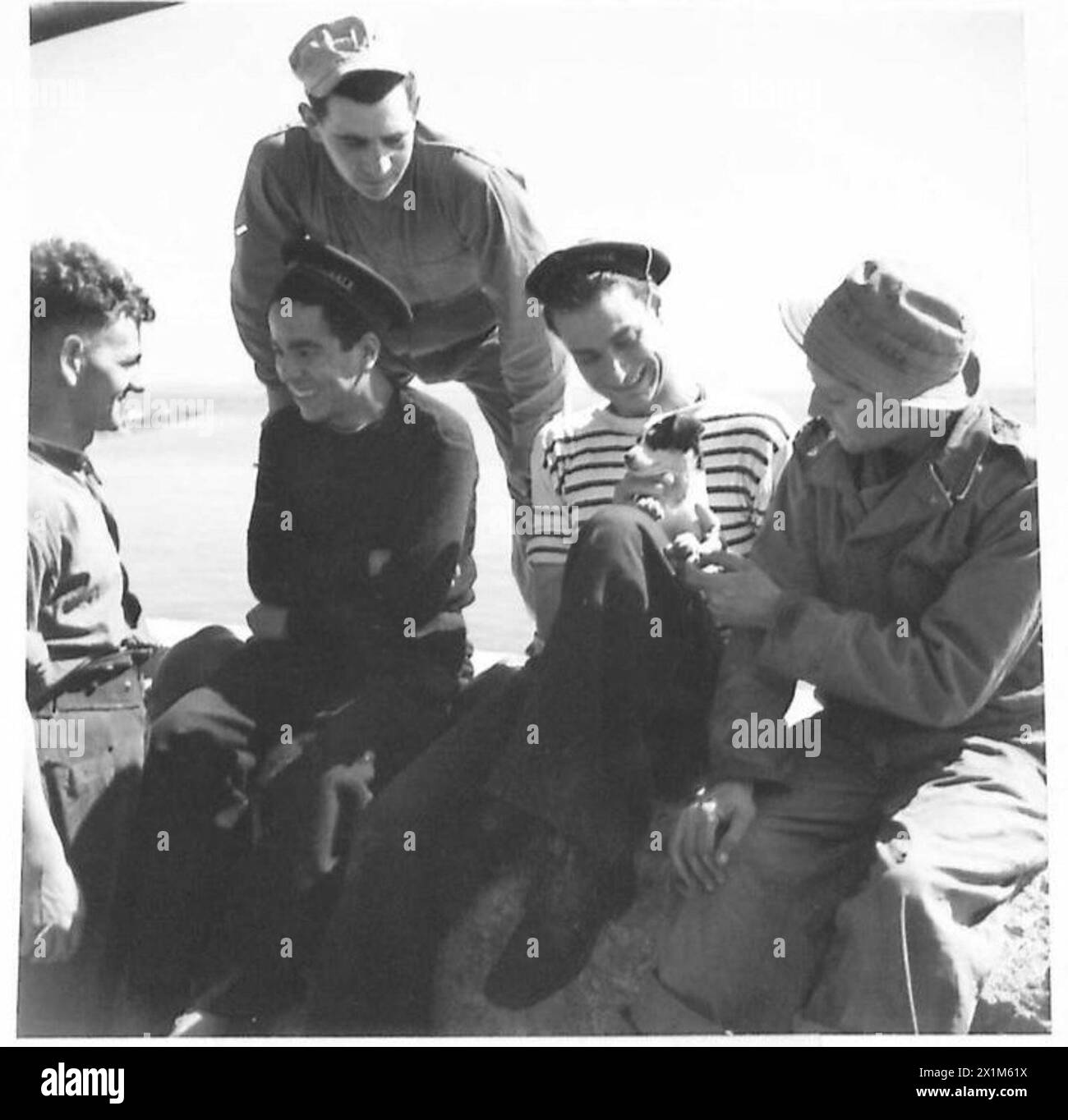 Il personale alleato coopera nelle esercitazioni di difesa del forte, compreso il GNR. Phillips, Matelots Poquet e Gheraldi, PSC. Dolan e PSC. Spanetio, accompagnato da una mascotte americana, British Army. Foto Stock