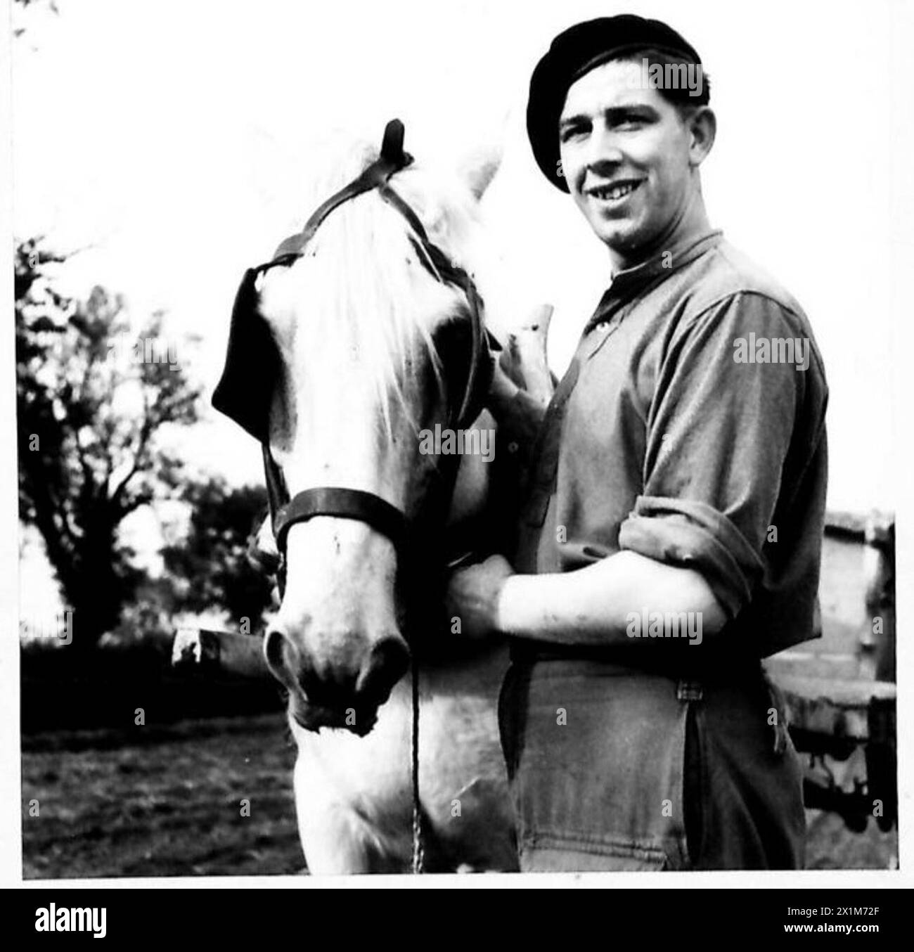 Un soldato dell'esercito britannico assiste nella raccolta di patate, guidando un carro agricolo fuori servizio, e normalmente gestisce un camion dell'esercito da 3 tonnellate. Foto Stock