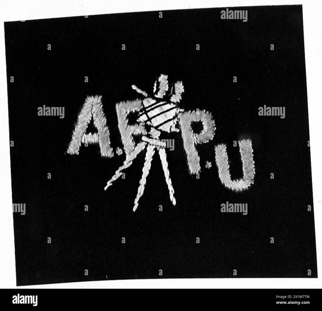 L'Army Film and Photo Unit (AFPU) dell'esercito britannico produce un'immagine fotografica flash, che documenta le attività militari e il personale. Foto Stock