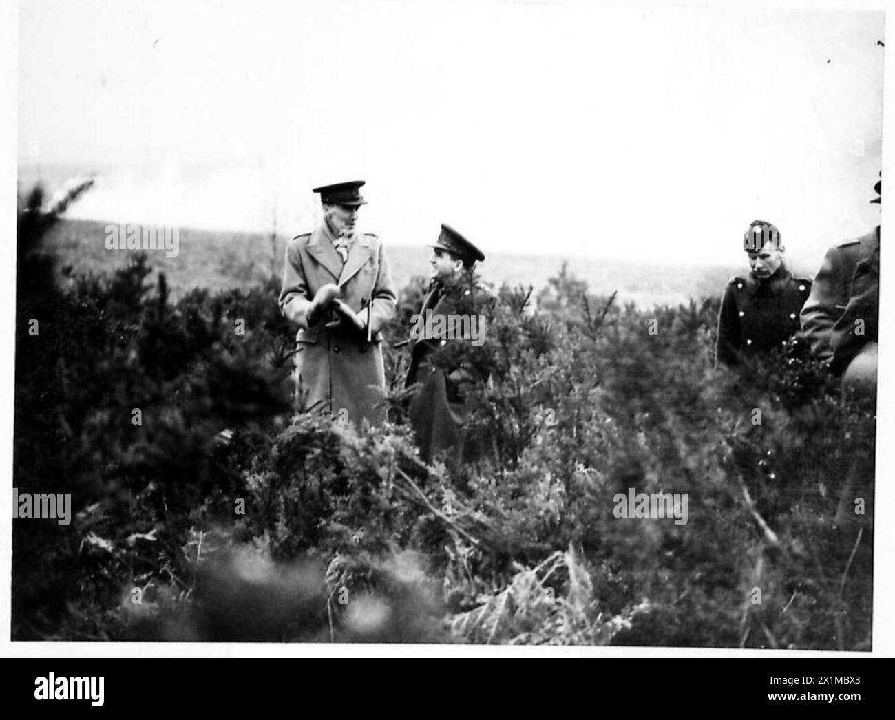 Panoramica del personale, delle unità e delle operazioni dell'esercito britannico in Gran Bretagna durante il 1939-1945. Foto Stock