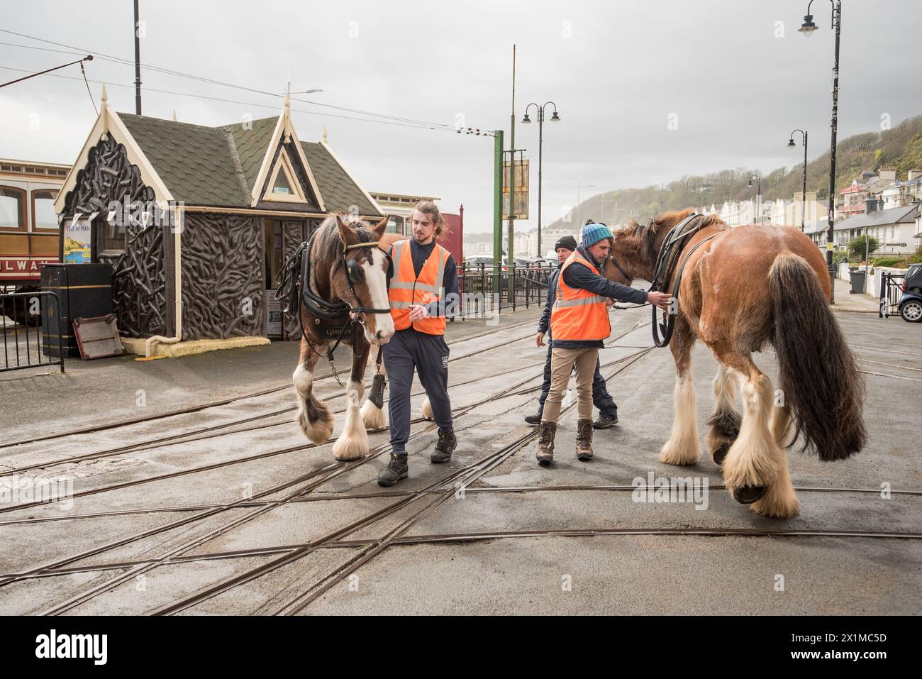 Douglas Bay Horse Tramway, la più antica tranvia di cavalli sopravvissuta in Gran Bretagna Foto Stock