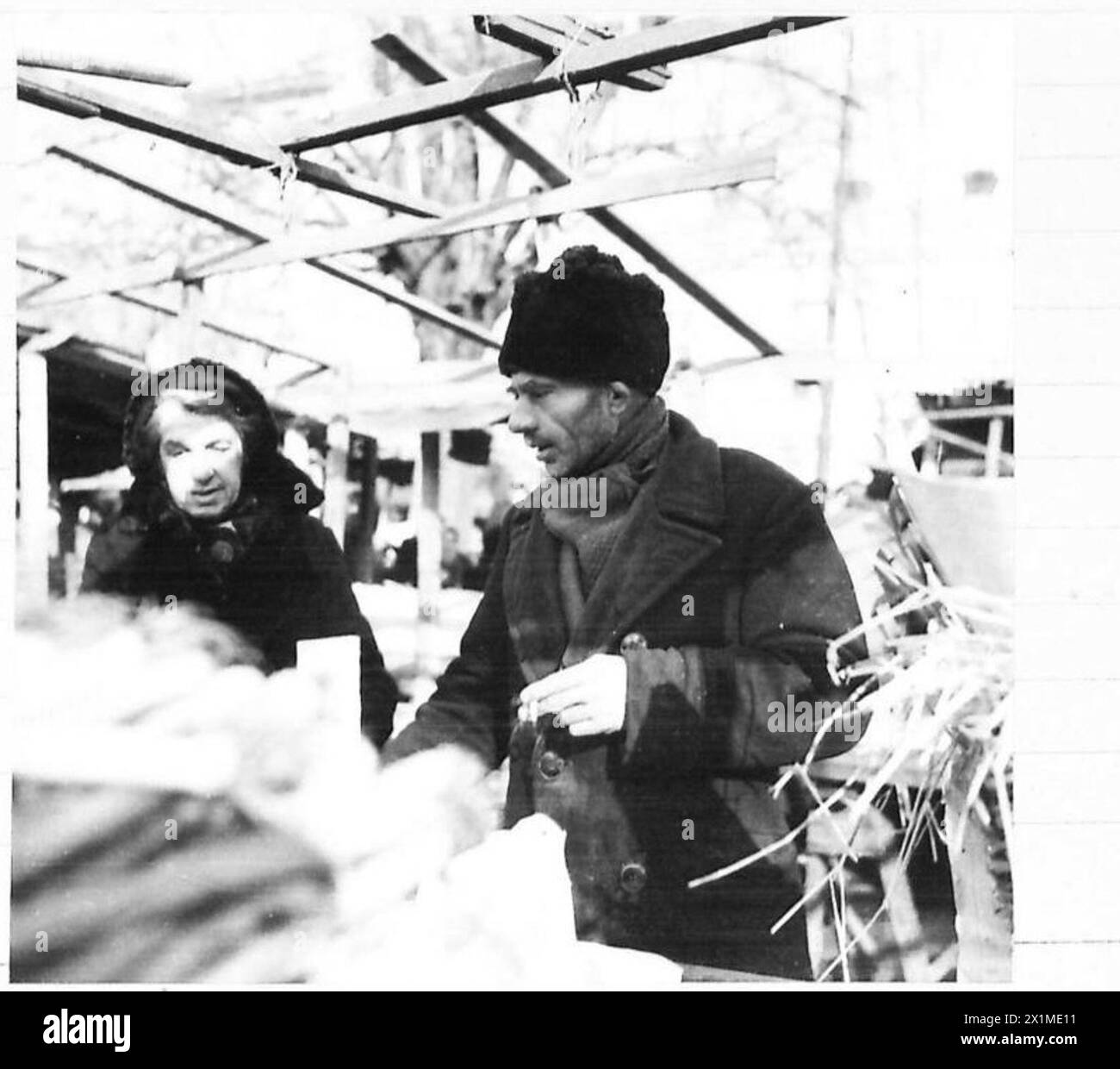 Un venditore di mercato offre verdure fresche a una donna anziana al mercato di Belgrado, osservazione dell'esercito britannico. Foto Stock