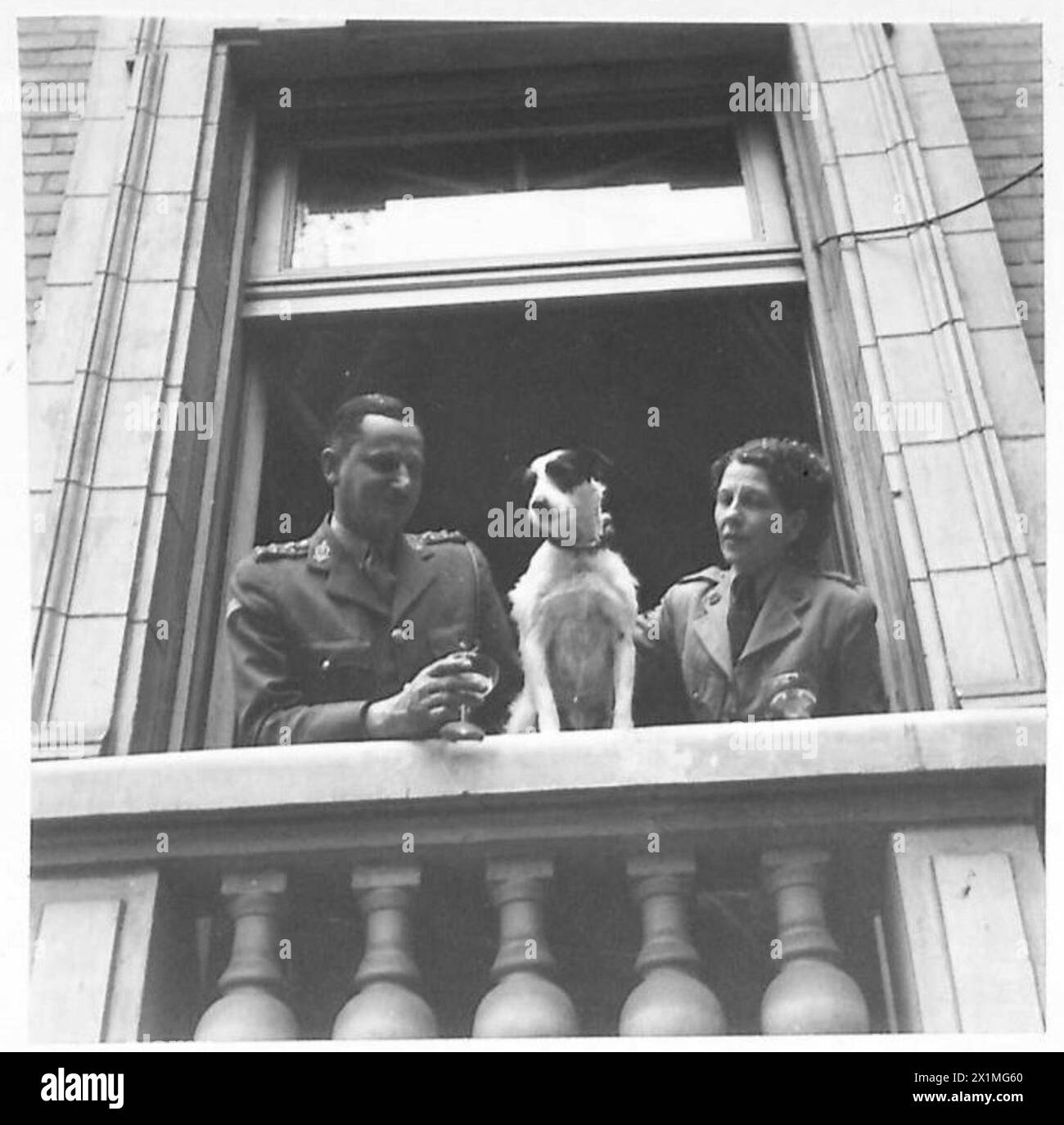 Durante un ricevimento nuziale dell'esercito britannico, la sposa e lo sposo sono ritratti con Topolino, il terrier, che è l'ospite d'onore. Foto Stock