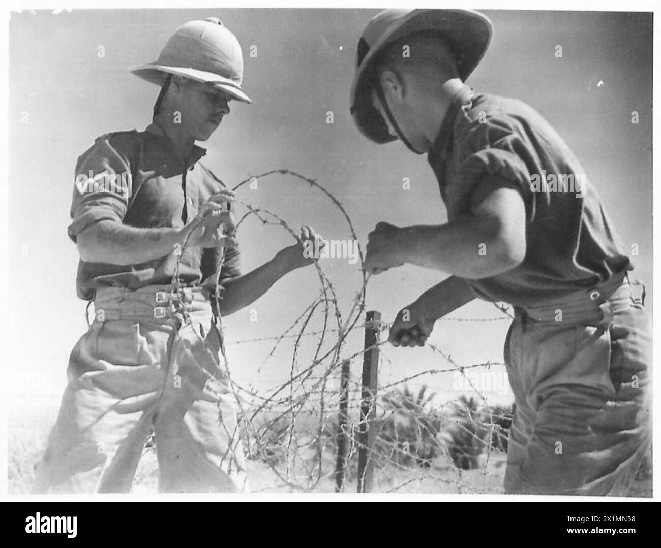 I soldati di un reggimento scozzese costruiscono intrecci di filo spinato in un ambiente desertico come parte dei preparativi difensivi dell'esercito britannico. Foto Stock