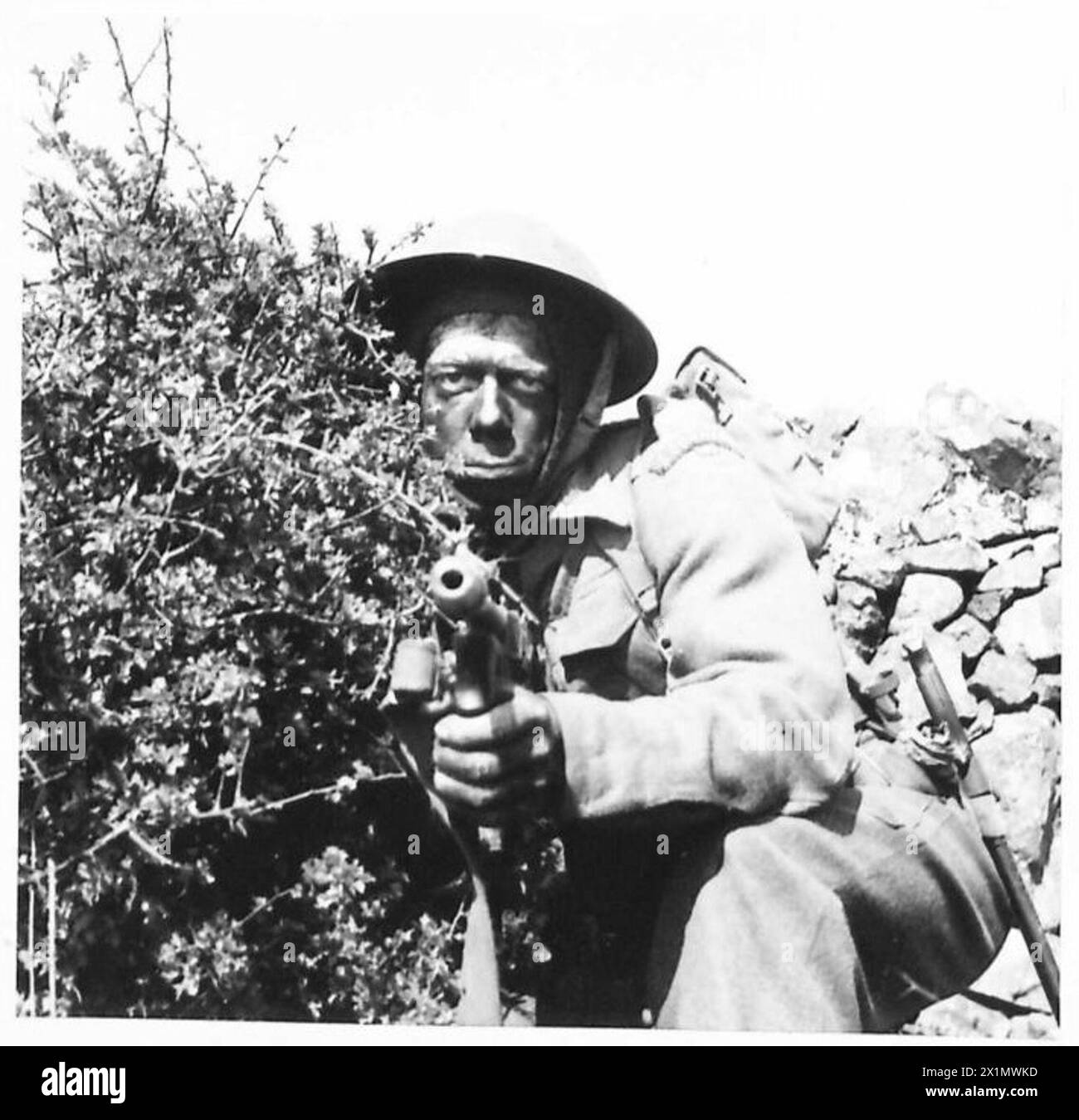 Un commando dell'esercito britannico usa il fogliame naturale come mimetico durante un esercizio di addestramento. Foto Stock