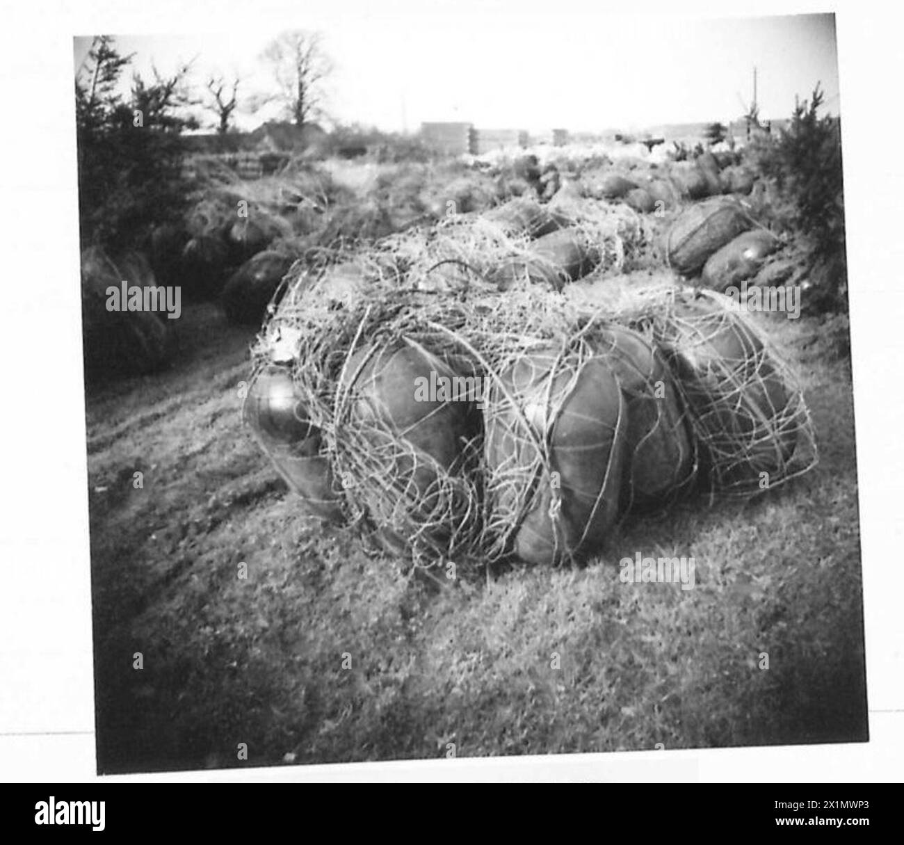 Bracci installati per proteggere i ponti dei pontoni dalle mine aeree nemiche durante i preparativi per l'attraversamento del Reno da parte del 21st Army Group britannico. Foto Stock