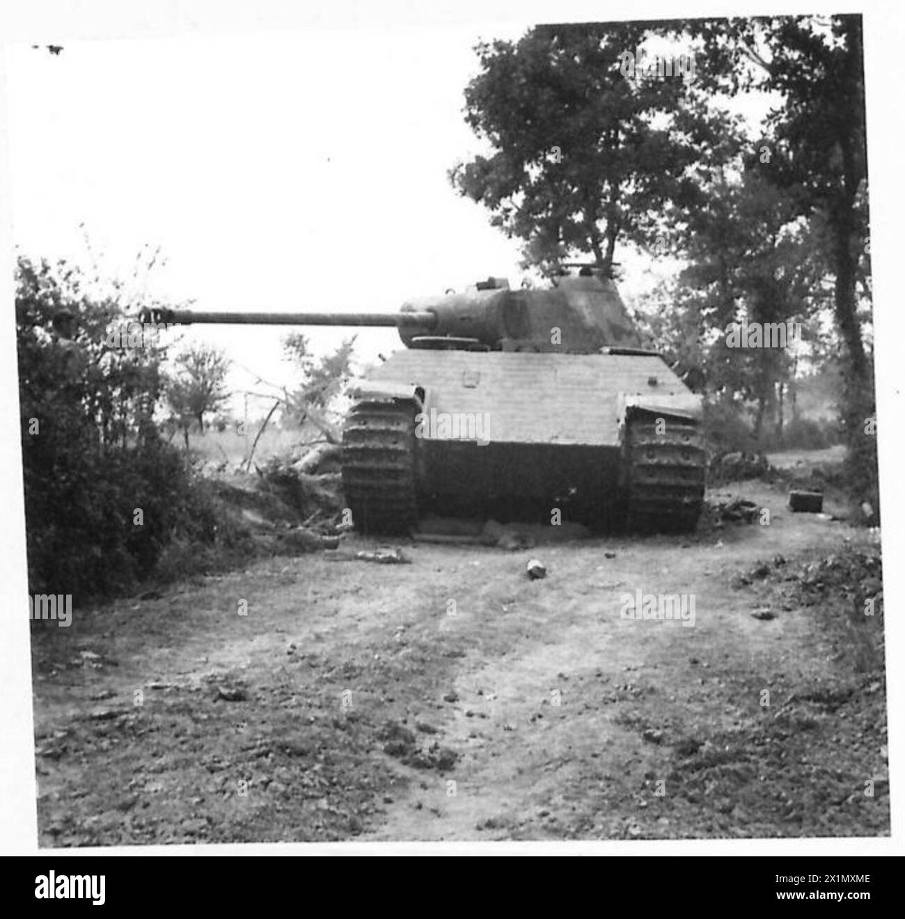Un carro armato tedesco Panther distrutto durante l'avanzata dell'Ottava Armata verso il fiume Melfa, British Army. Foto Stock
