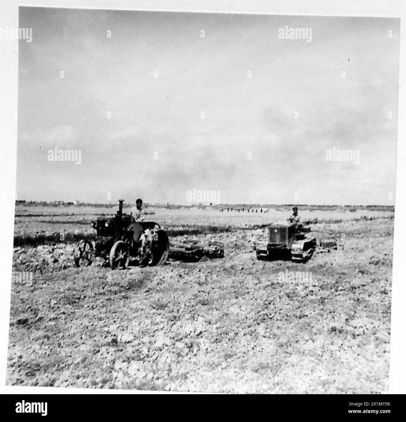 I trattori del progetto di bonifica A.M.G. a grado preparano il terreno per la semina di mais indiano (mais), operazioni dell'esercito britannico. Foto Stock