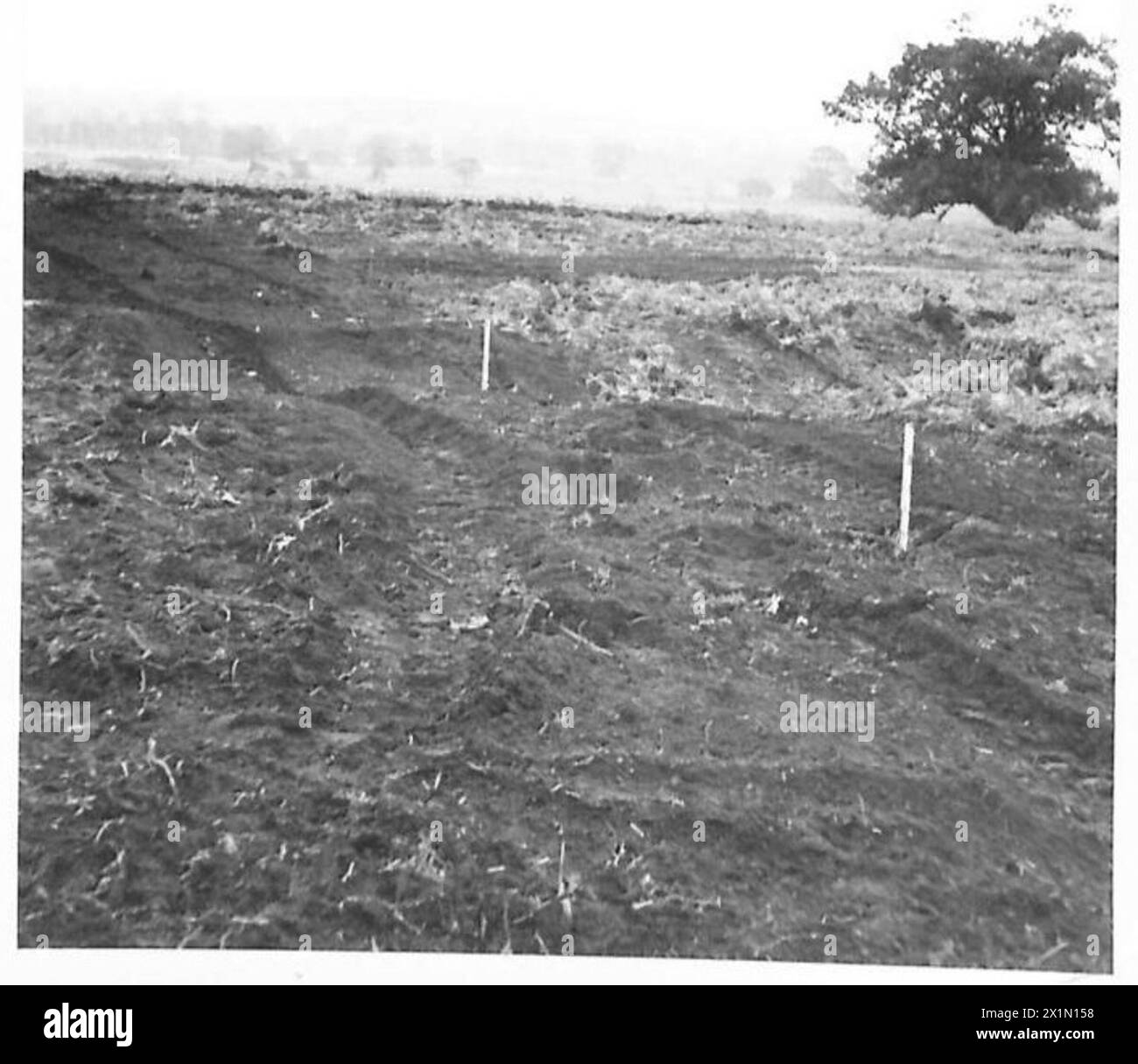 I carri armati e i cingoli danneggiati dall'esercito britannico documentano le esigenze di manutenzione e l'impatto del combattimento. Foto Stock