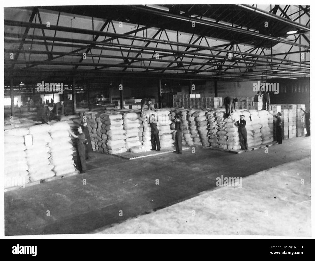 L'esercito britannico immagazzina grandi quantità di rifornimenti alimentari per provvedere alle truppe per lo spiegamento operativo. Foto Stock L'esercito britannico immagazzina grandi quantità di rifornimenti alimentari per provvedere alle truppe per lo spiegamento operativo. Foto Stock