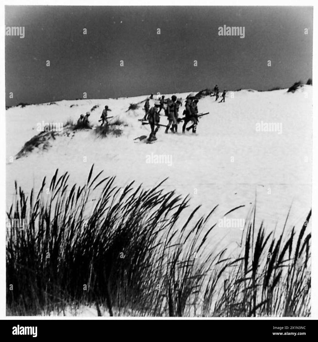 Una pattuglia sudafricana nel deserto occidentale avanza in linea durante un'operazione di ricognizione, supportata dall'esercito britannico. Foto Stock