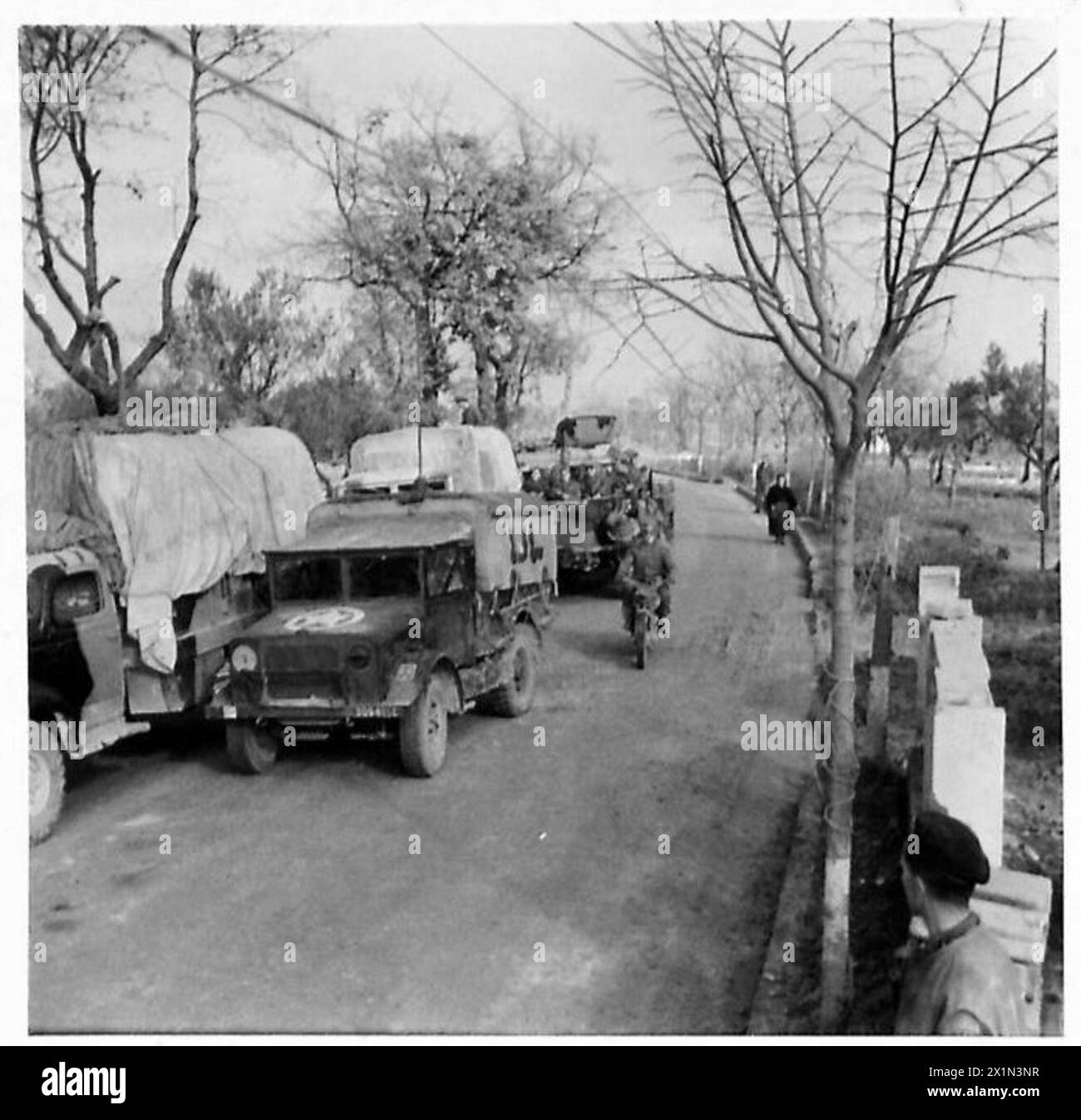 Un cannone antiaereo S.P. Bofors dell'Ottava Armata britannica che si muove lungo una stretta strada tortuosa verso le posizioni in avanti in Italia. Foto Stock
