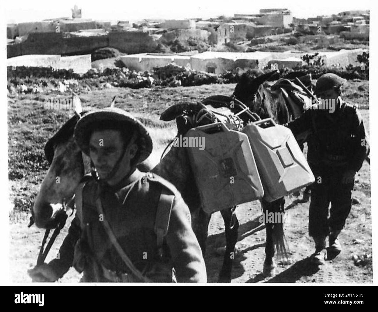 I fucilieri del Lancashire in un terreno montuoso davanti a Chaouach usano muli e cavalli per trasportare l'acqua in jerrican per avanzare le truppe; il villaggio di Chaouach è visibile sullo sfondo. Foto Stock